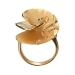 Ring Danza