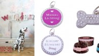 design3000_Hunde