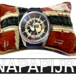Napapijiri Watch Napapijiri Watch