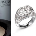 Platinum Design Awards 2011